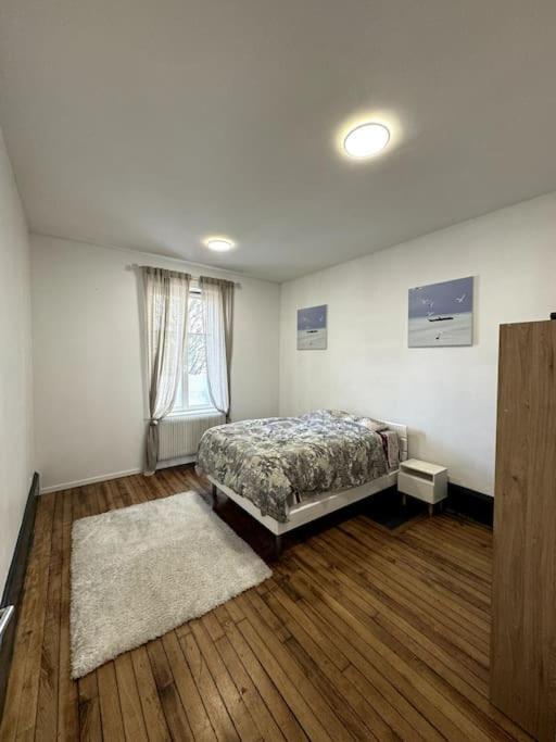 L Appart A La Gare Apartment Nancy Exterior photo